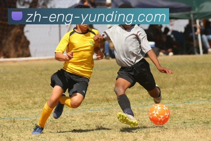 多媒体互动体验